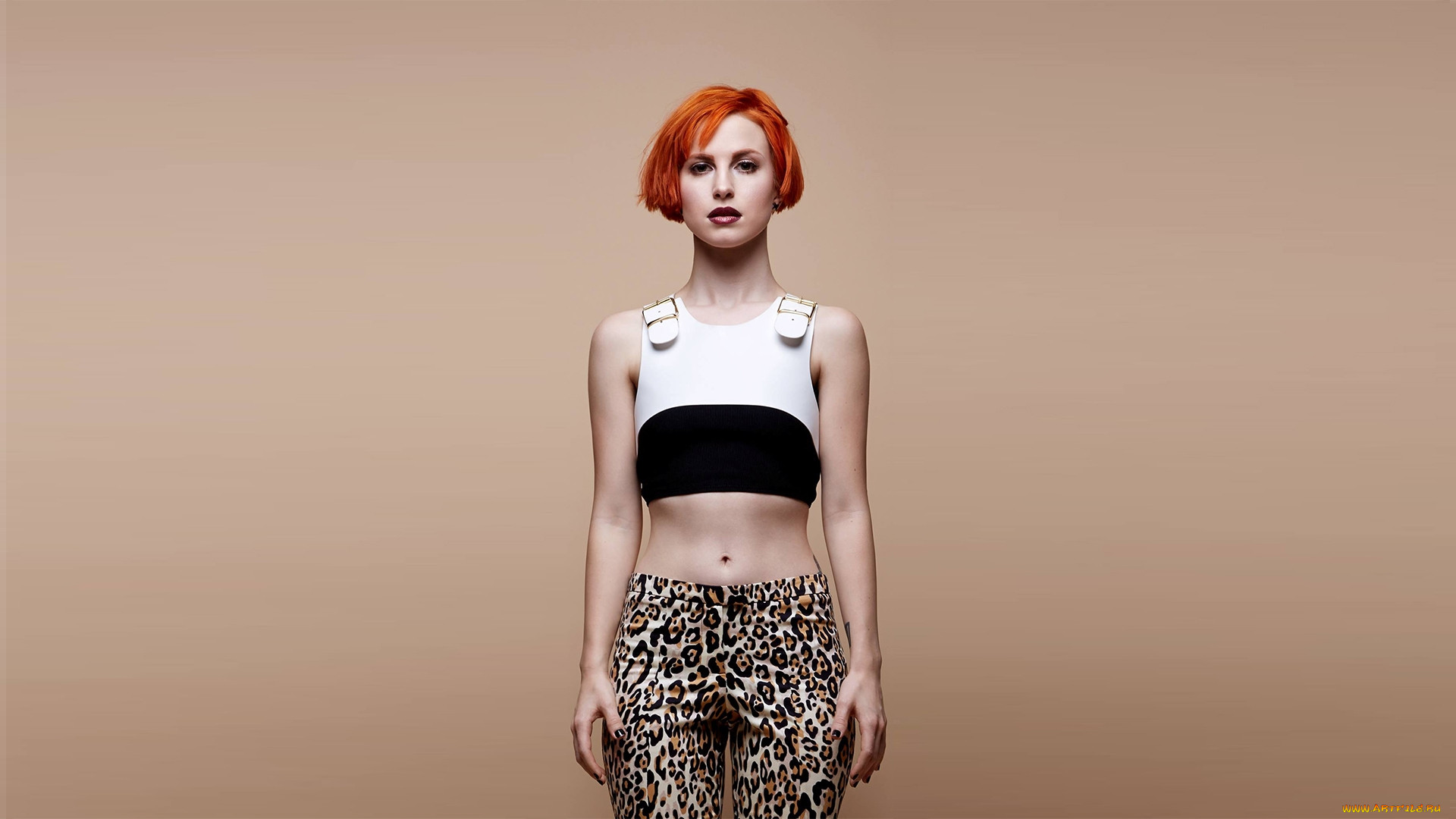 hayley williams, , paramore, hayley, williams